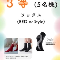 画像324